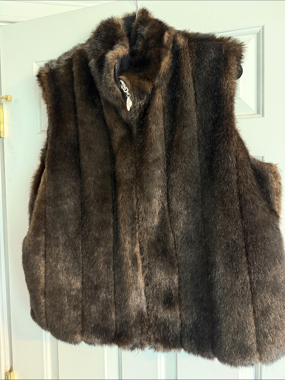 Classic Dark Brown Fur Vest with Stand Collar